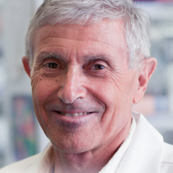 Professor John Rossi PhD